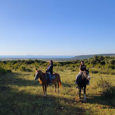 Passeggiata a cavallo nel Parco Nazionale del Gargano