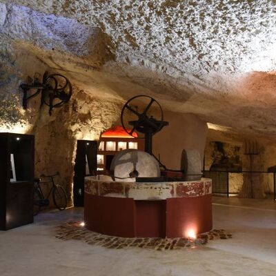 Visita esperienziale al Frantoio Rosso Ipogeo